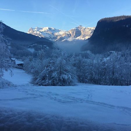 Vallee De Chamonix Au Pied Des Pistes レ・ズッシュ エクステリア 写真