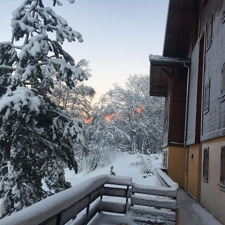 Vallee De Chamonix Au Pied Des Pistes レ・ズッシュ エクステリア 写真
