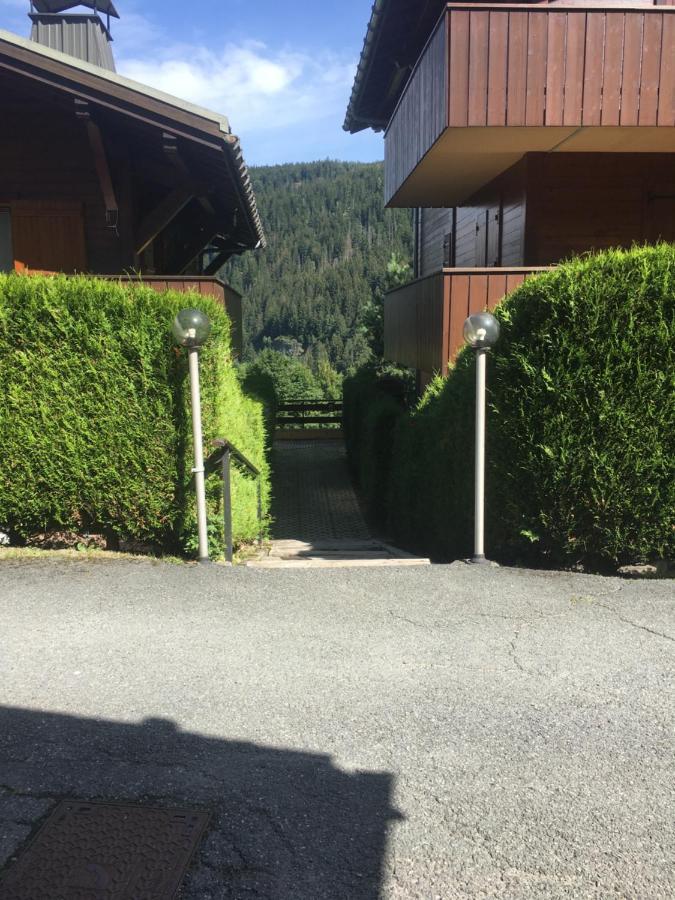 Vallee De Chamonix Au Pied Des Pistes レ・ズッシュ エクステリア 写真