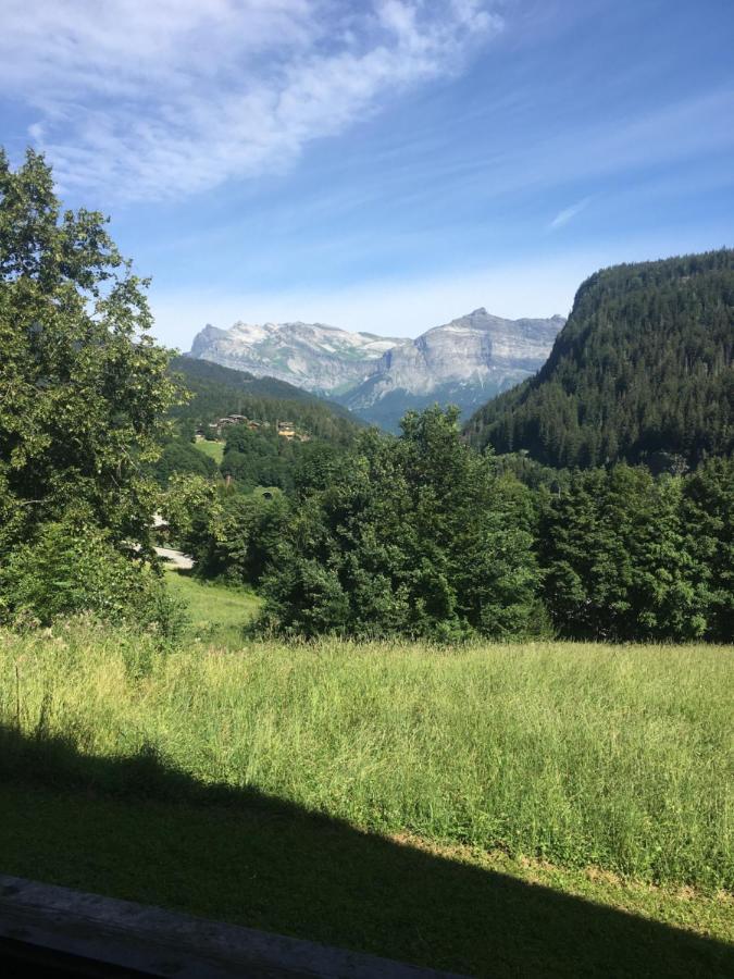 Vallee De Chamonix Au Pied Des Pistes レ・ズッシュ エクステリア 写真