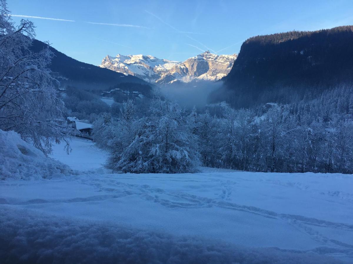 Vallee De Chamonix Au Pied Des Pistes レ・ズッシュ エクステリア 写真