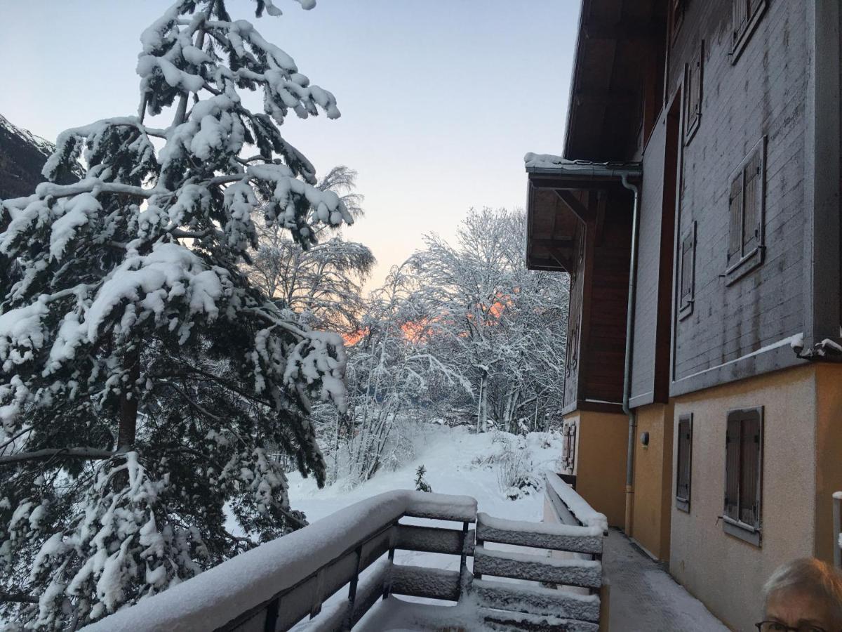 Vallee De Chamonix Au Pied Des Pistes レ・ズッシュ エクステリア 写真