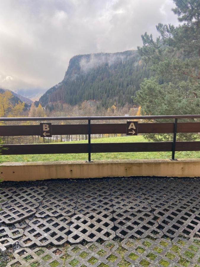 Vallee De Chamonix Au Pied Des Pistes レ・ズッシュ エクステリア 写真